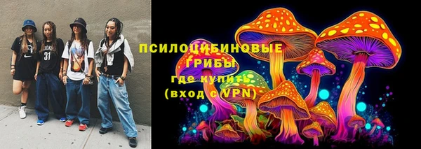 стафф Богданович